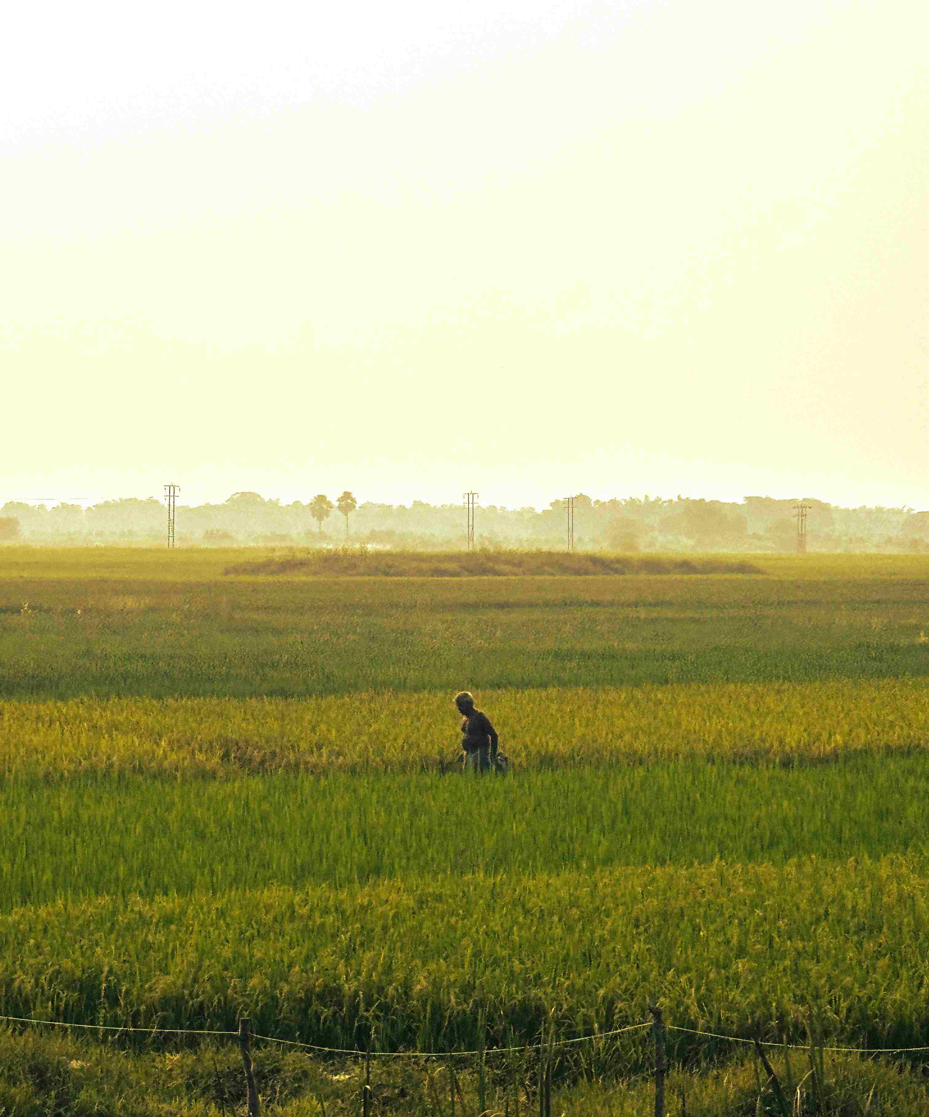 Simple Life, More Peace